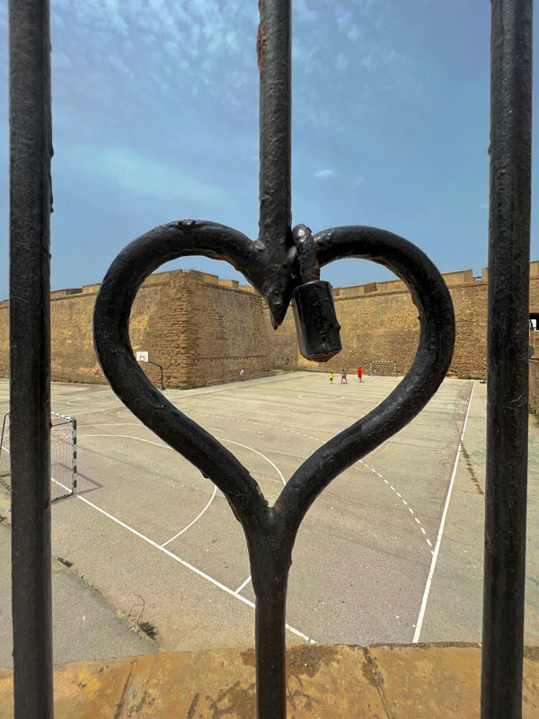 heart shaped fence in front of concrete