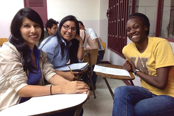 CEA's Diversity Initiative