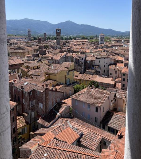 View from the Bell Tower in Lucca, Italy.