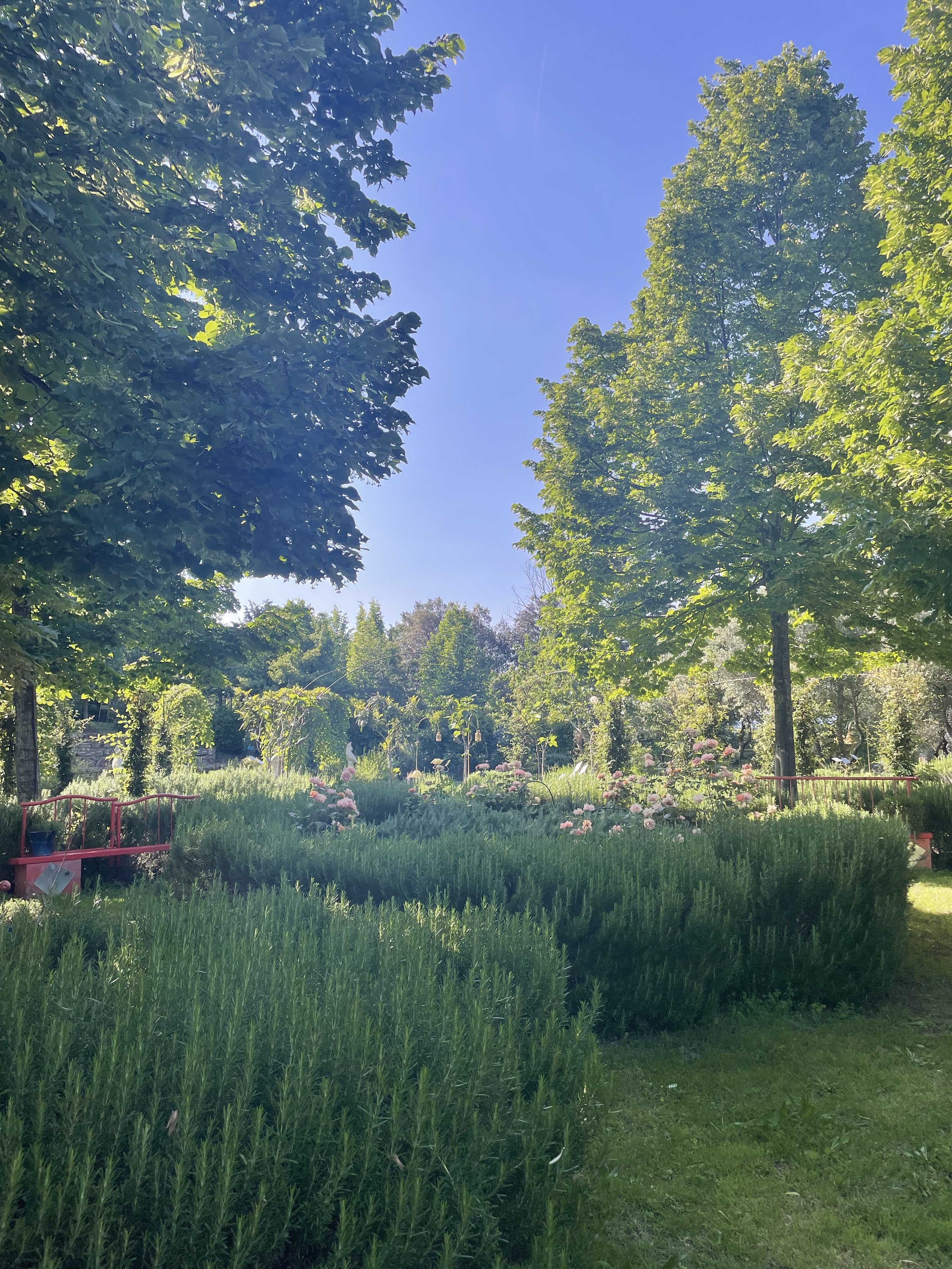 A garden with lush greenery and trees.