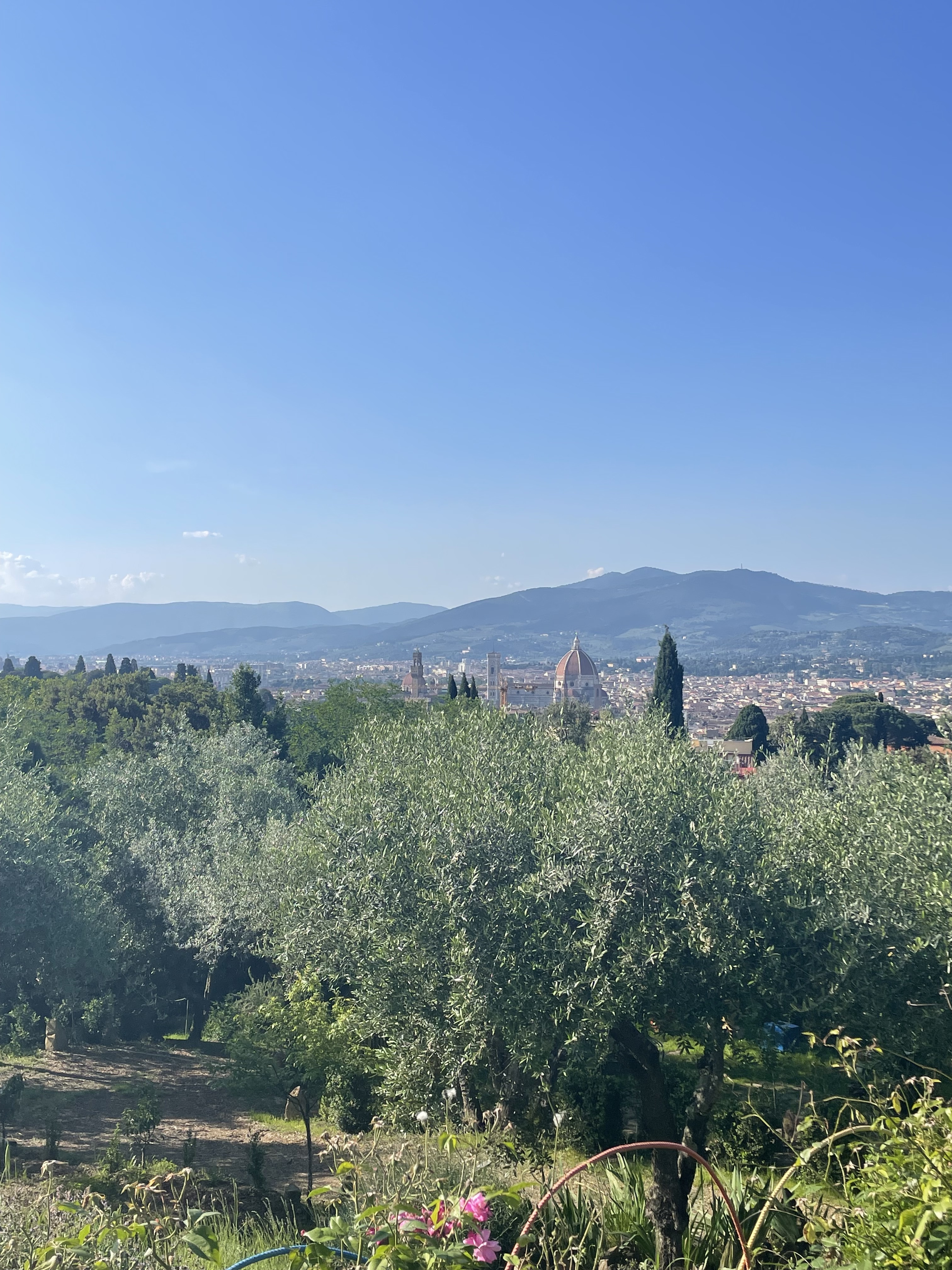 Skyline of Florence and some mountains.
