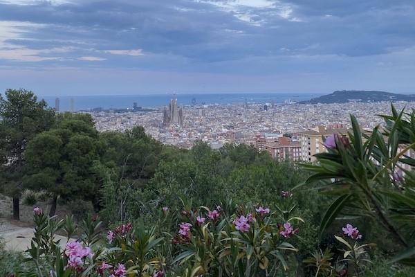 Exploring Spain's Business Culture - Internship in Barcelona
