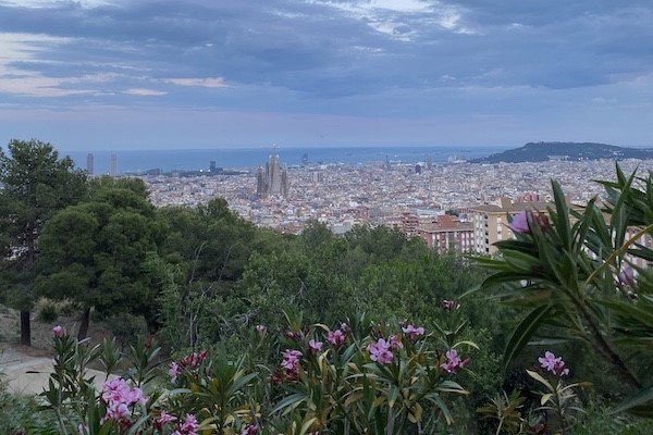 Spanish lookout view