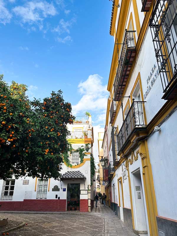 Streets and buildings in Sevilla