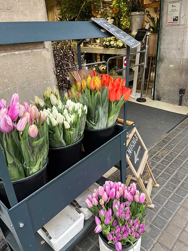 Flowers for sale at flower shop