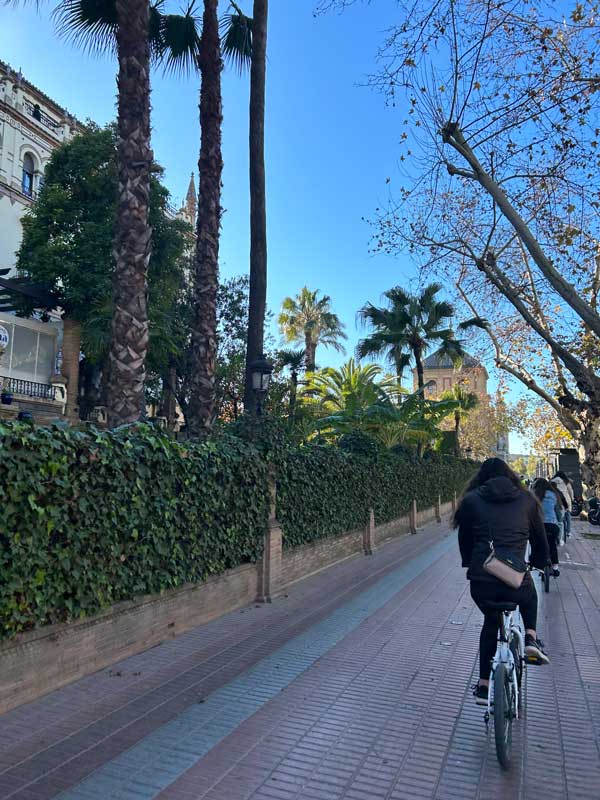 student bikes along city bike paths