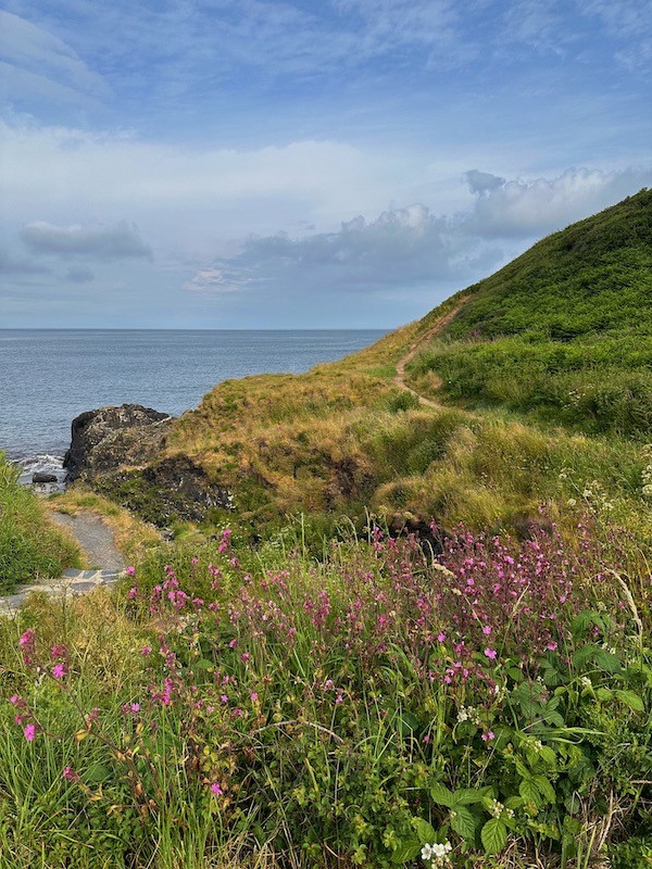 Rolling green hills, water, purple flowers