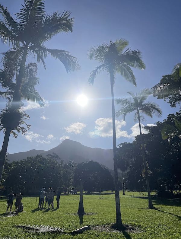 view of mountains and palm trees