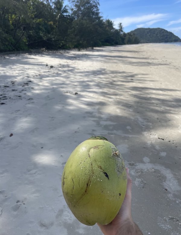 Coconut on beach